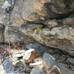 Bye Preserve, Pound Ridge Land Conservancy