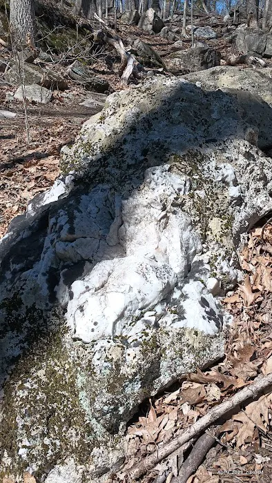 Bye Preserve, Pound Ridge Land Conservancy Picture 4