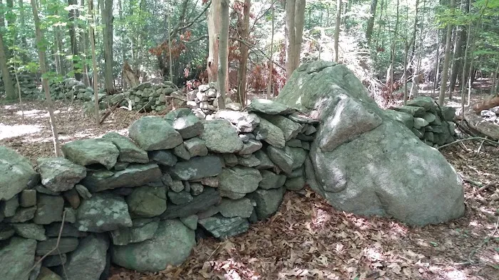 Bye Preserve, Pound Ridge Land Conservancy Picture 9