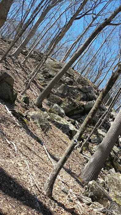 Bye Preserve, Pound Ridge Land Conservancy Picture 3