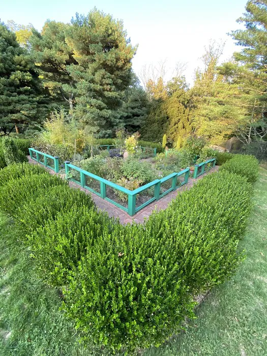 Herb Garden Picture 1