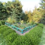 Herb Garden