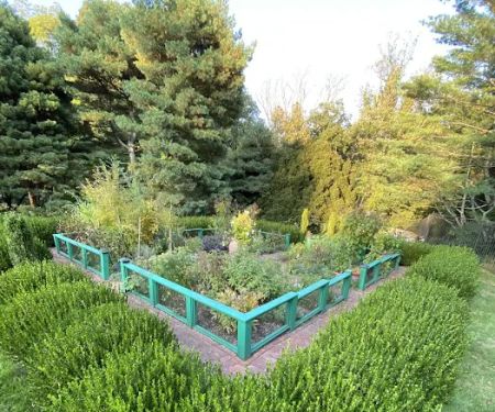 Herb Garden