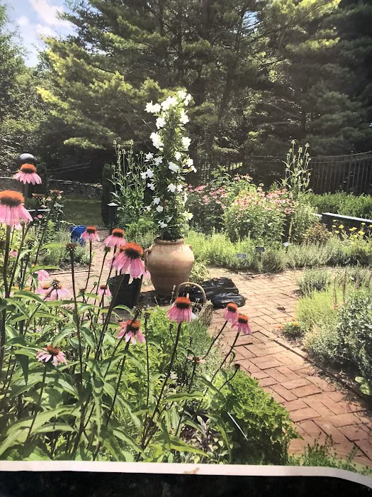 Herb Garden Picture 2