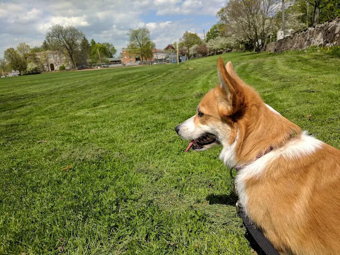 Barrett Field Picture 6