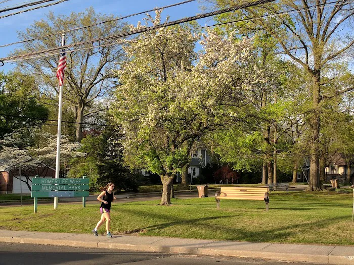 Homer Lee Wise Memorial Park Picture 1