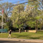 Homer Lee Wise Memorial Park
