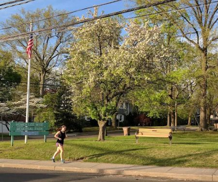 Homer Lee Wise Memorial Park