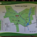 Bartlett Arboretum & Gardens