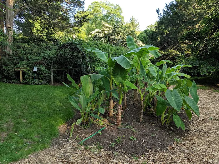 Bartlett Arboretum & Gardens Picture 10