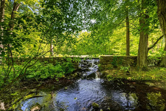 Bartlett Arboretum & Gardens Picture 6