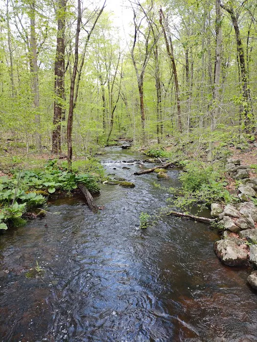 Bartlett Arboretum & Gardens Picture 7
