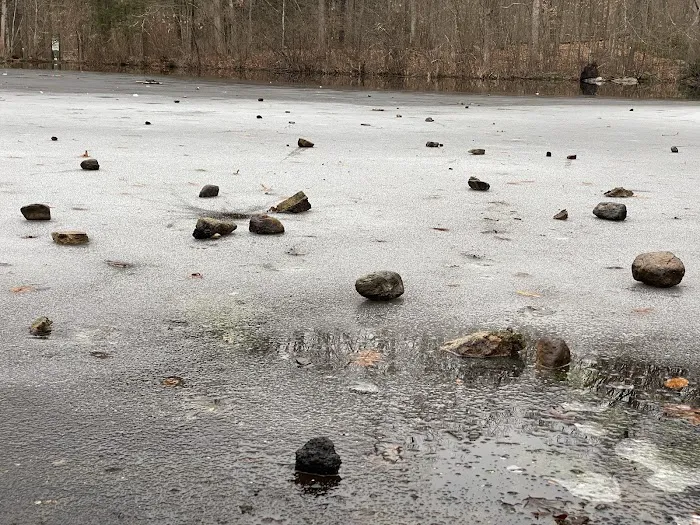 Forsyth Pond Picture 5