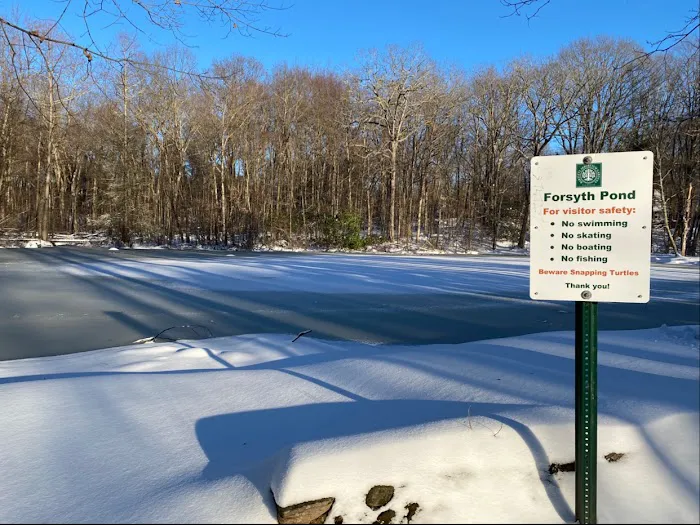Forsyth Pond Picture 1