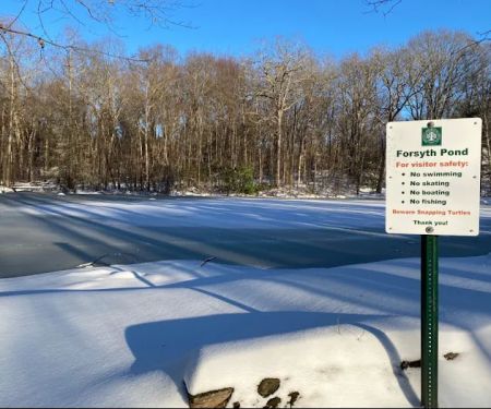 Forsyth Pond