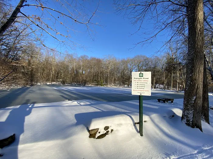 Forsyth Pond Picture 3