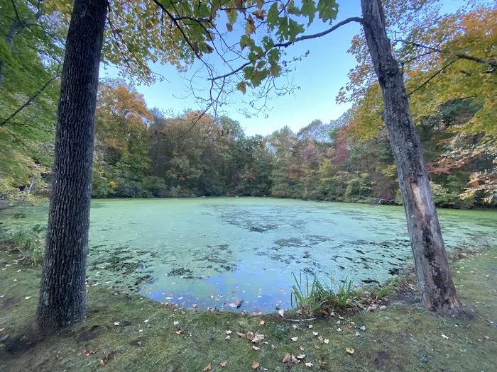 Forsyth Pond Picture 9