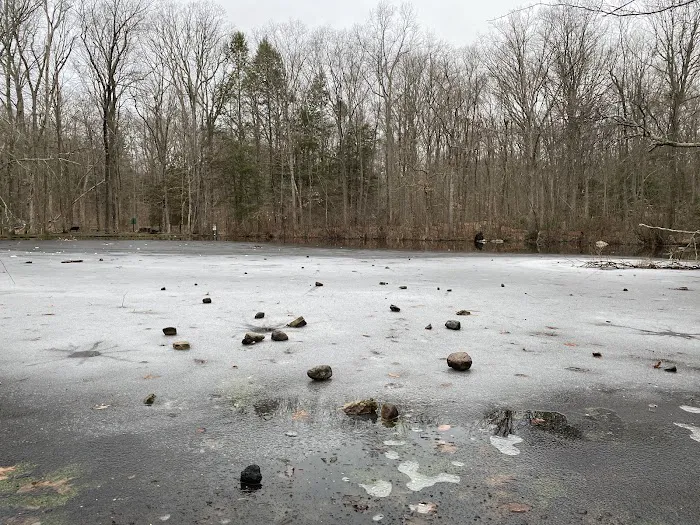 Forsyth Pond Picture 8