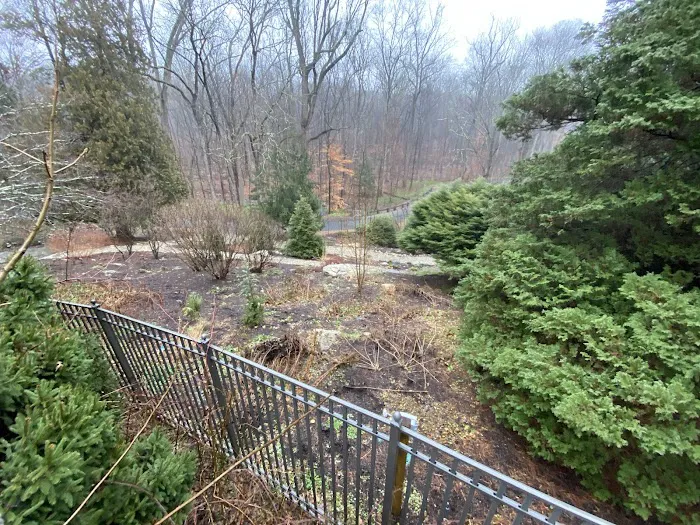The Jane Bartlett Heisinger Garden @ The Bartlett Arboretum Picture 5