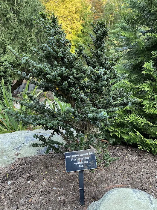 The Jane Bartlett Heisinger Garden @ The Bartlett Arboretum Picture 10