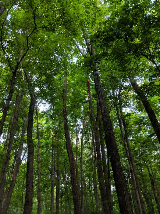 Henry Morgenthau Preserve Picture 1