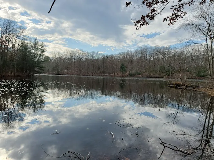 Henry Morgenthau Preserve Picture 6