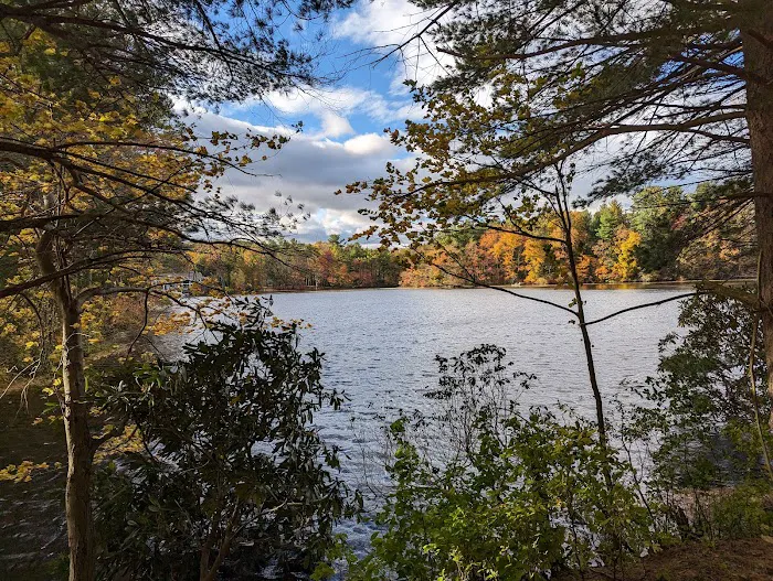 Henry Morgenthau Preserve Picture 4