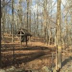 Clark Preserve