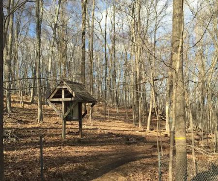 Clark Preserve