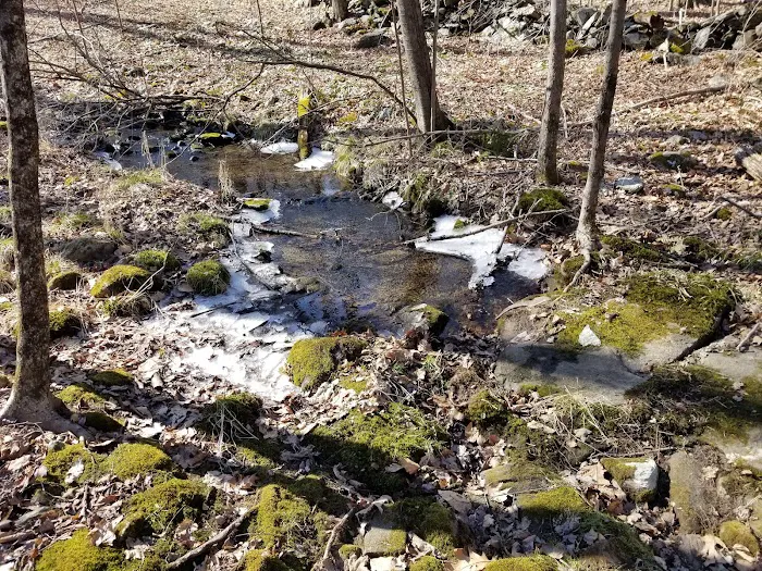 Clark Preserve Picture 8
