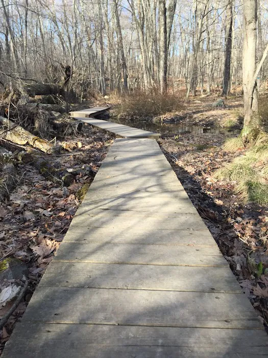 Clark Preserve Picture 10