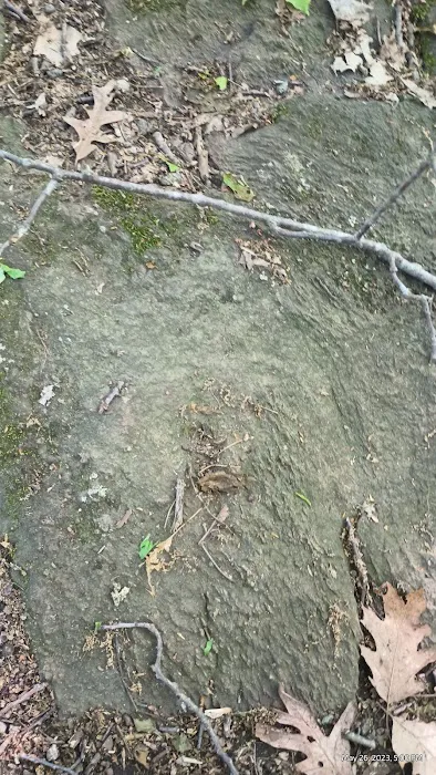 Clark Preserve Picture 5