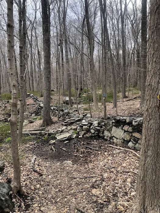 Richards Preserve Picture 4