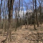 Richards Preserve