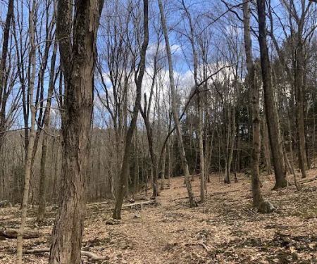 Richards Preserve