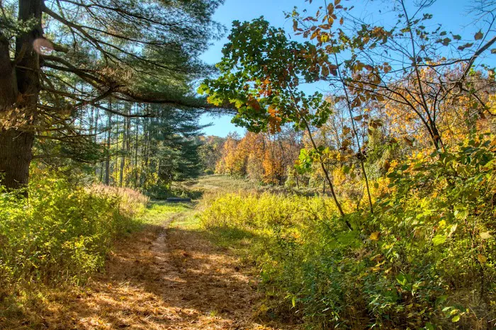 Beaver Dam Park Picture 3