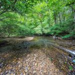 Beaver Dam Park