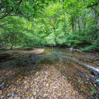 Beaver Dam Park ico