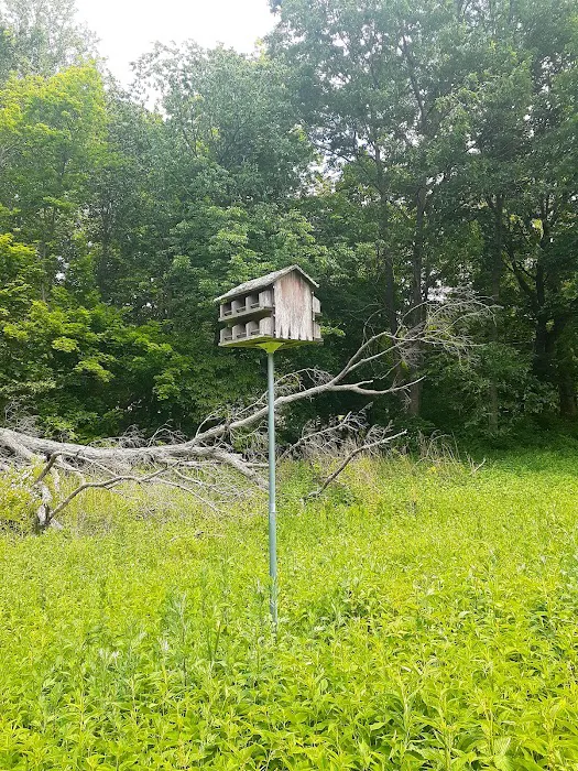 Beaver Dam Park Picture 5