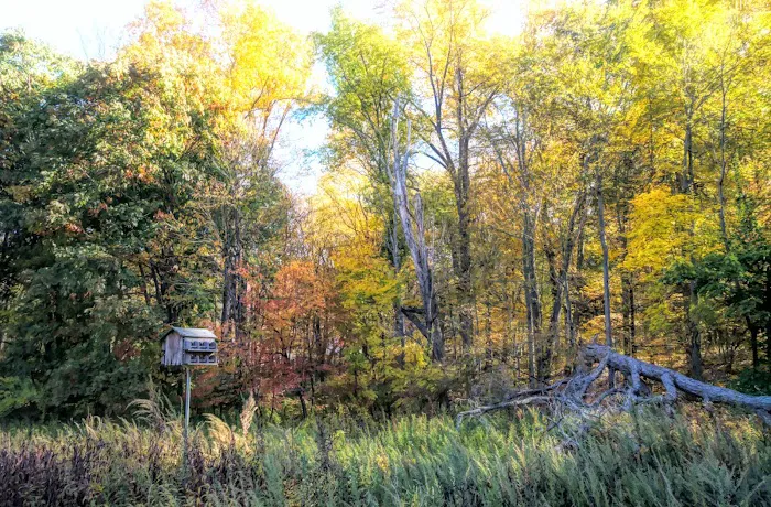 Beaver Dam Park Picture 2