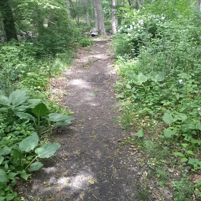 Beaver Dam Park Picture 7