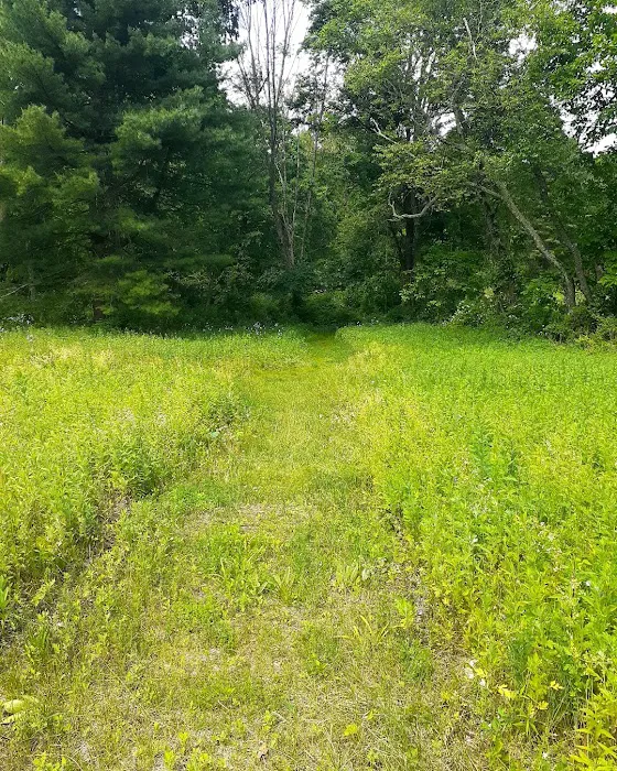 Beaver Dam Park Picture 10