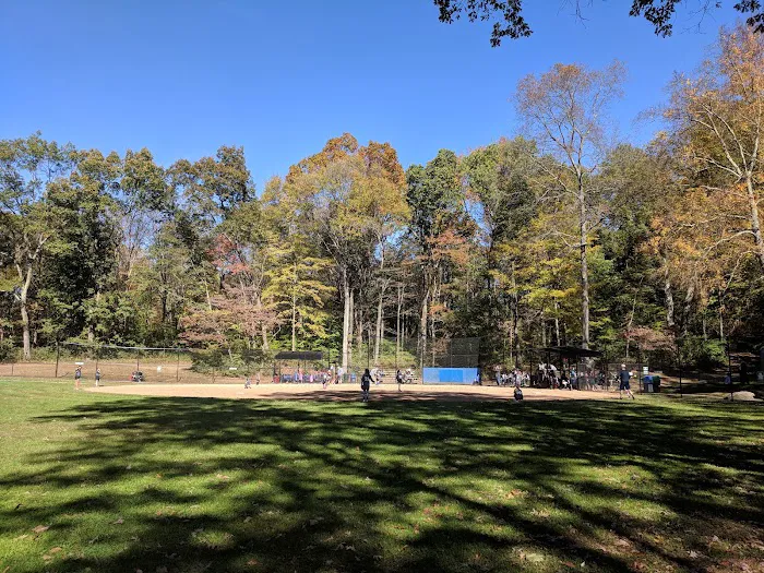 Rasor Field, Katonah Picture 8