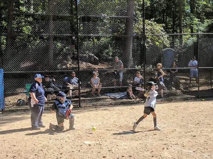 Rasor Field, Katonah Picture 5