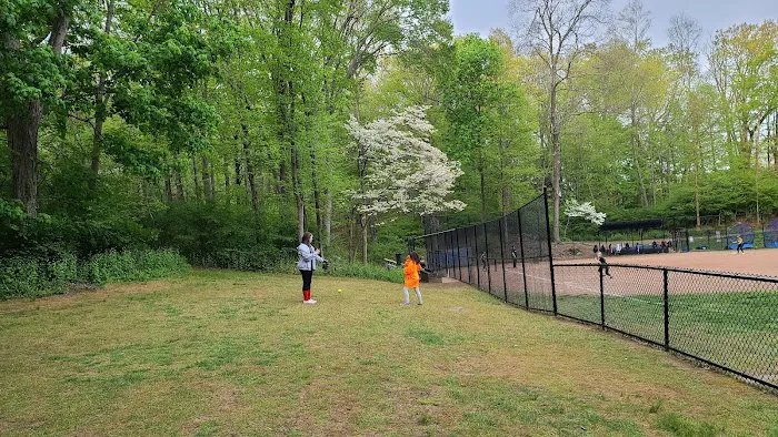 Rasor Field, Katonah Picture 6