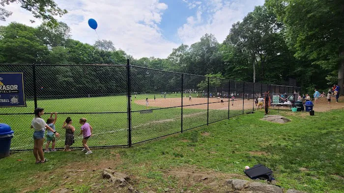 Rasor Field, Katonah Picture 3