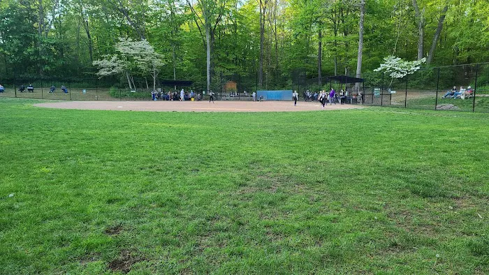 Rasor Field, Katonah Picture 9