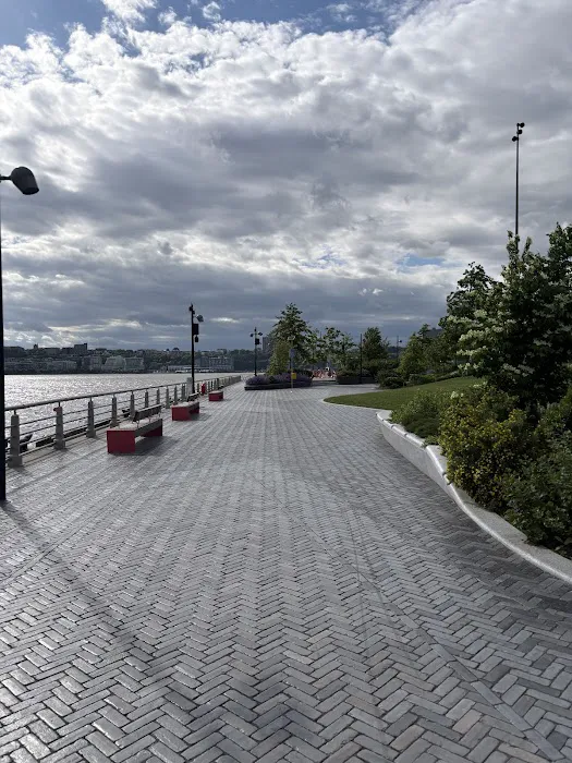 Pier 97 at Hudson River Park Picture 6