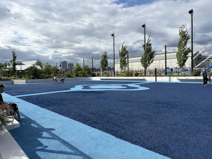 Pier 97 at Hudson River Park Picture 10