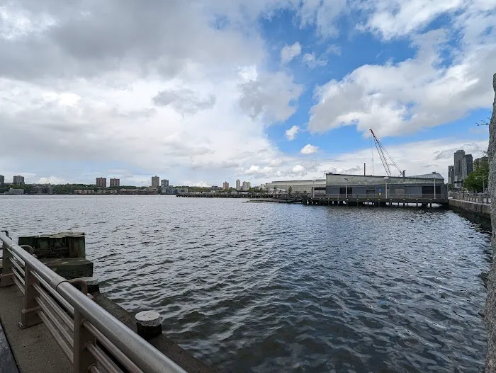 Clinton Cove at Hudson River Park Picture 3